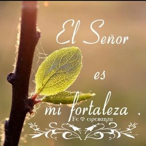 Meet your Posher, Adeli